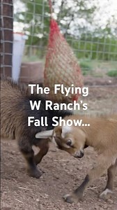 The Flying W Ranch’s Fall Show!