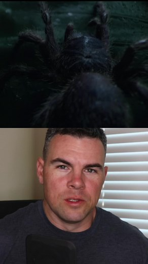 The British Royal Marine Commandos are freakin stellar. #fyp #fypシ #foryou #foryoupage #miltokcommunity #miltok #military #army #navy #airforce #marinecorps #usmarines #marine #coastguard #spaceforce