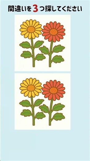 【脳トレ】菊の花★間違い探し