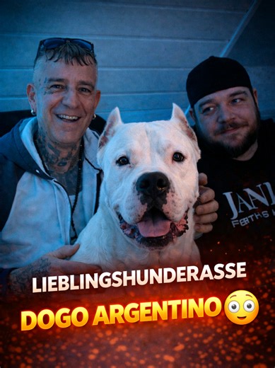 Understanding the Dogo Argentino: A Comprehensive Overview