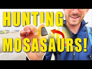 Shark Tooth Hunting the Carolinas: Holden Beach, NC