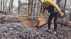 Bridge push up - primal version Goal: Improve thoracic spine mobility. Seems like dogs like to dig under bridges 👍🐶 #strongandflextv #bridge #bridgepushups #movement #movementculture #primal #paleo #movenat | Strong and Flex TV