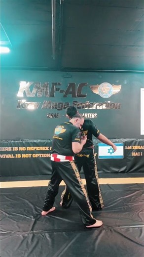 Krav Maga Expeditive Police Control By Master Alain Cohen