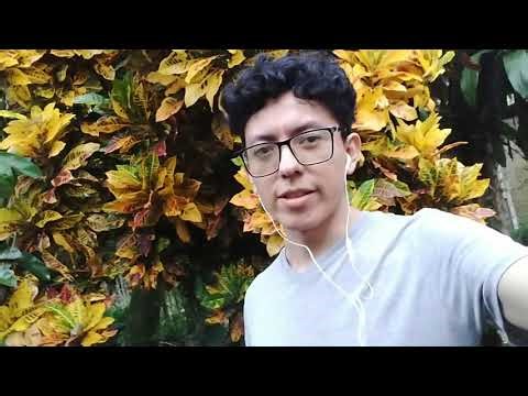 Creando una página web con PHP y MySQL #1
