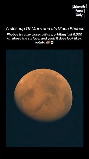 Zooming into a Close Look at Mars and It's Moon Phobos 🥔 🤯 #space #mars #spacex #astronomy