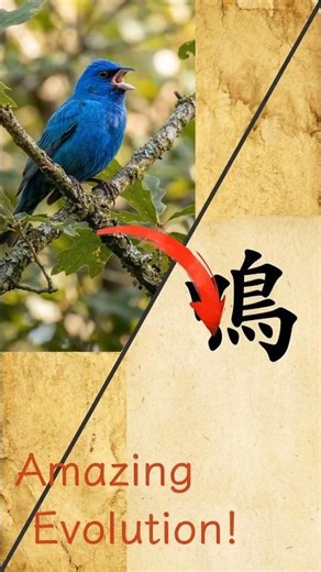 Why "Míng" looks like a bird singing 🐦