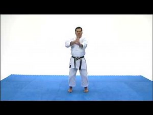 Goju Ryu basics strikes, blocks & kicks