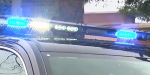 Tree trimmer killed in Saginaw while trimming tree