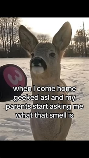 Green Memes on Instagram: "‘I was at a campfire’ 😭"