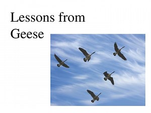 Lessons from Geese - SlideServe