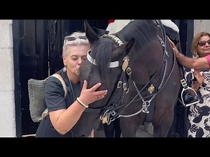 Unbelievable: Watch what Happens when a Horse Sees THIS Woman’s!