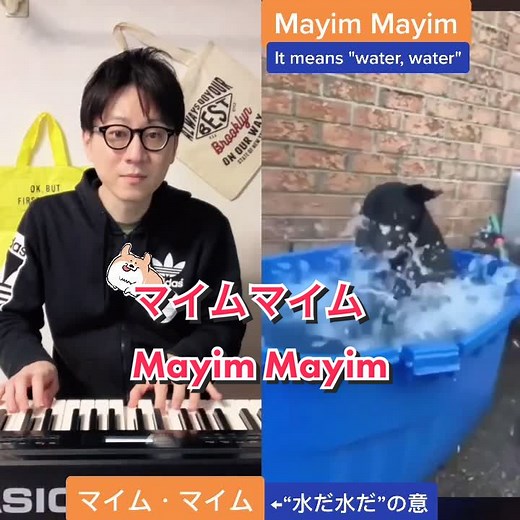 マイムマイムの楽しさを踊ろう！