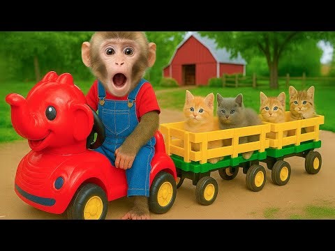 Monkey KOKI drives a car with kittens and buys rainbow jelly at the supermarket