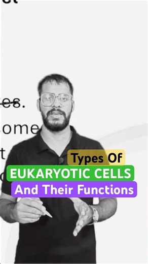 Eukaryotic Cells Functions #shorts #cellbiology