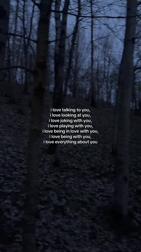 solitude (@solitudehurtme)’s video of quotes about love