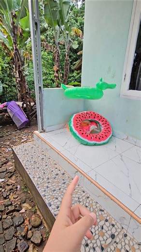 apa itu yang di lempar #youtubeshorts