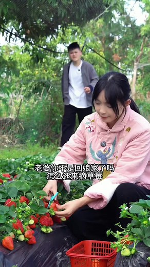 #新农人计划2024 #农村生活 #家庭生活 #kehidupanpedesaan #fyp #记录真实生活 #KongsiBersam #easyrecip #familylife #recip #villagelifevideos #minivlog #家庭 #日常vlog #乡村生活 #我的乡村生活 #日常生活 #夫妻 @TikTok