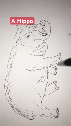 Drawing a hippo #drawing #drawingtechniques #art #sketch #pencildrawing #drawingstyles