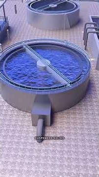 How Wastewater Treatment Works? From Sewer to Clean Water