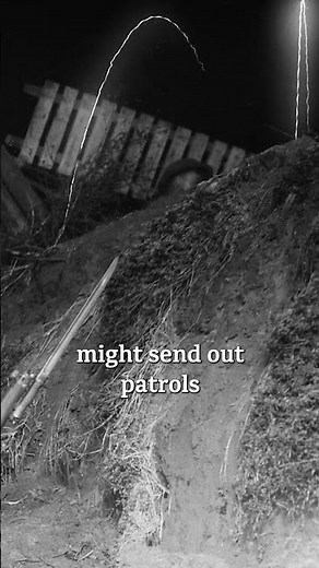 Why WW1 Trenches Came Alive After Dark