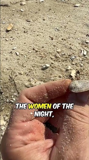 The Curious Case of Crepidula Fornicata #shorts