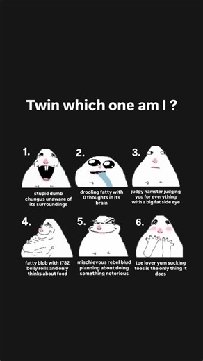 Mr. Otter on Instagram: "Lmk #reels #fyp #swag #create #hamster"