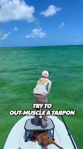 The Silver King is number 5 on our list of hardest fish to catch 😎 #fishing #tarpon #fishingbooker