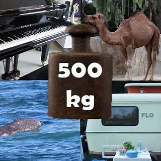7 Things That Weigh Around 500 Kilograms (kg)