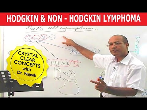 Hodgkin's vs Non Hodgkin's Lymphoma | Pathology🩺