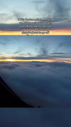 Dreaming of Flying an Airbus A320neo