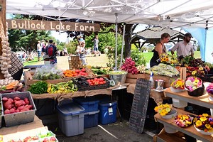 Top Things To Do on Salt Spring Island, B.C. - Hastings House Country House Hotel & Spa on Salt Spring Island