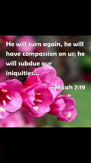 Good morning Micah 7:19#bibleverse
