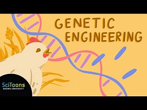 What is Genetic Engineering?