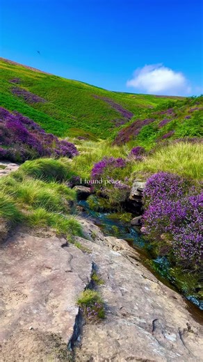 Exploring Vinland: A Journey Through Nature's Beauty