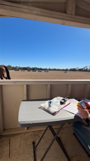 The view from the start box. Have you ever wondered what it’s like to volunteer?? Here’s a sneak preview of one of the important volunteer jobs we have every horse trials #eventing #horsetrials #volunteerism #volunteering #eventingvolunteers | Florida Horse Park