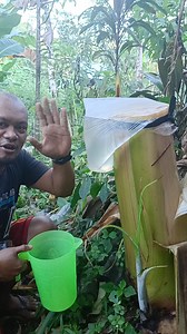 11M views · 137K reactions | #fbreels23 #dongzapatan #mukbangers...