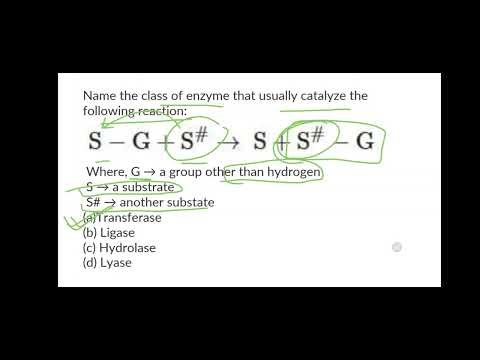 NEET PYQ | Biomolecules Class-11 | biology neet