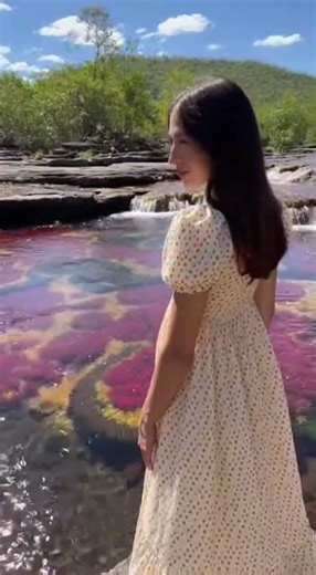 The River That Flows Rainbow!