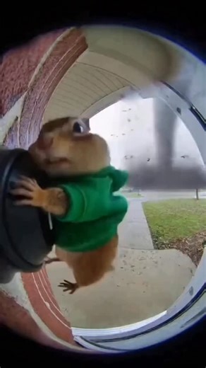 Luis on Instagram: "Theodore Seville is the youngest Chipmunk in Alvin and the Chipmunks, known for his gentle personality, shyness, and love of food. He balances Alvin’s boldness and Simon’s intelligence, often showing empathy and kindness. As a key character in the franchise, Theodore teaches themes of teamwork, innocence, and emotional awareness. 🐿️🎶 - #theodore #alvin #alvinandthechipmunks #theodoreseville #chipmunk #humor #funny #ai #trending #viral #aiwithluis"