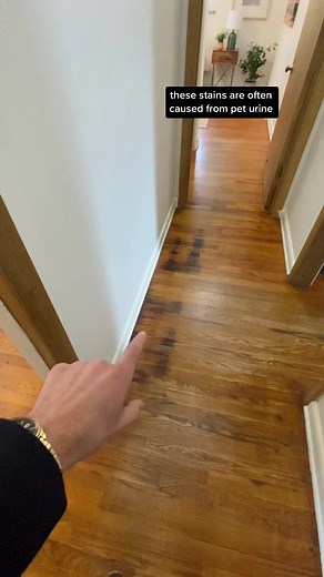 How to Remove Pet Urine Stains from Hardwood Floors