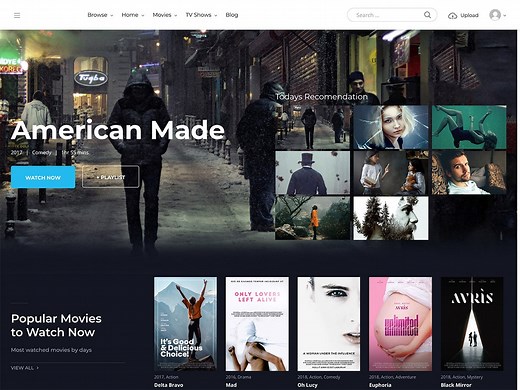 18 Best Video WordPress Themes 2025