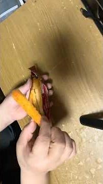 うまい棒を買ったらやりたくなる、食べやすく4等分する方法🖐️