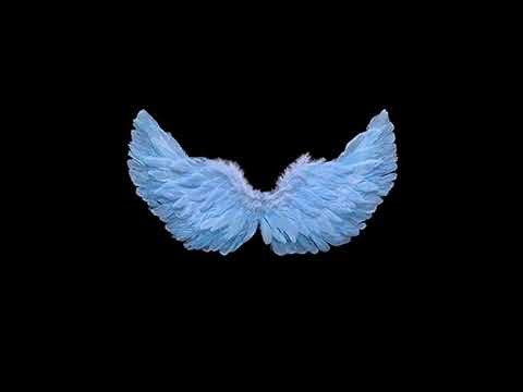 Till Dusk Dawn - Lyrics ( Unofficial sound version)