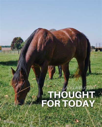 THOUGHT FOR TODAY (Cast Your Cares) Hand it over so that the Lord can develop it... . Listen to Thought for Today on the Angus Buchan app: http://bit.ly/AngusApp. There is a new WhatsApp Channel that you can follow to receive THOUGHT FOR TODAY. Use this link to join. bit.ly/tft-angus-buchan. It will show up under ‘Updates’ on your WhatsApp, under Channels. | Angus Buchan
