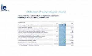 The Comprehensive Income Statement