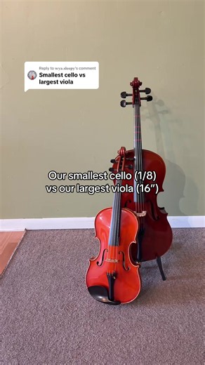 Replying to @𝐰𝐲𝐚.𝐬𝐥𝐞𝐞𝐩𝐲 smallest cello vs largest viola! #cello #viola #orchestra #musicshop