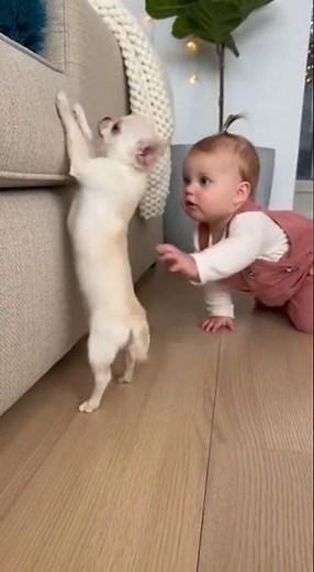 The cutest helping hand FAIL! 🥺 Mission aborted. #funny #animals #cute