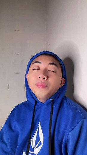 Understanding Orangutan Behavior Through Interaction