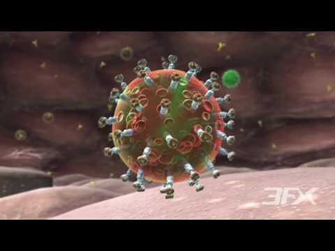 HIV Animation