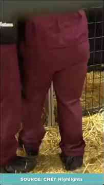 Neuralink Trained This Monkey To Play Pong With Only A Chip In Its Brain